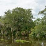 OTRA2014_1548 (September 03, 2014)